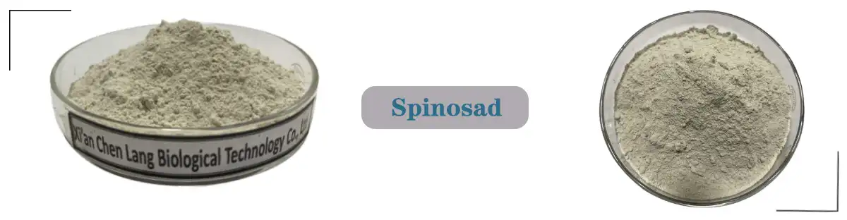 Spinosad SAler.jpg